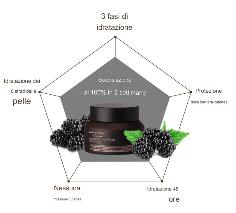 CREMA ANTIOSSIDANTE ED ILLUMINANTE RIDONA ELASTICITÀ - ANTIAGE - SKIN CARE